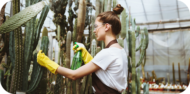 GREEN CLEANING SERVICES
